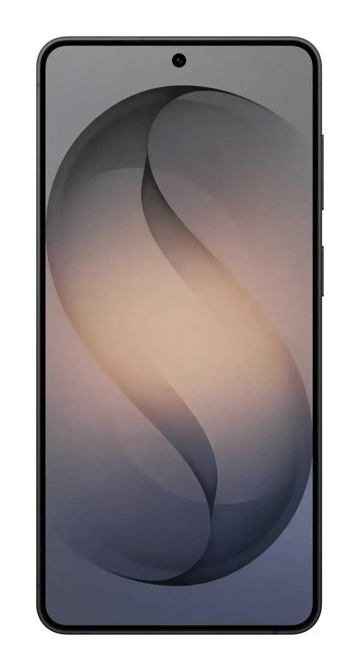 Смартфон Samsung Galaxy S26+ 12GB/256GB (черный)