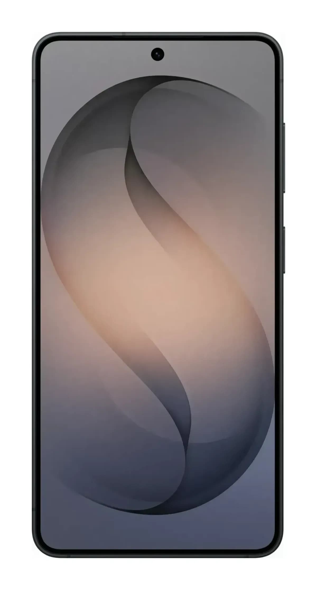 Смартфон Samsung Galaxy S26 12GB/256GB (черный)