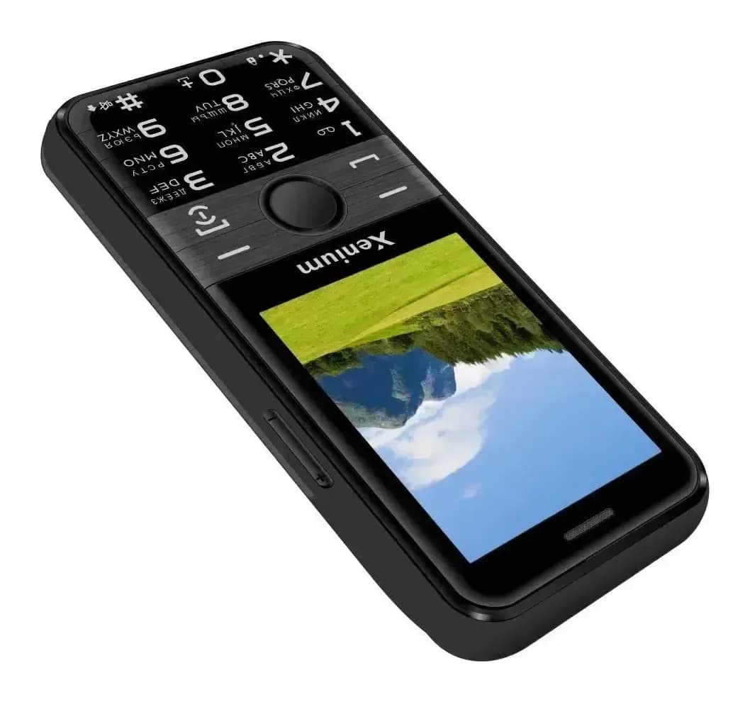 Мобильный телефон Xenium X800 (черный)