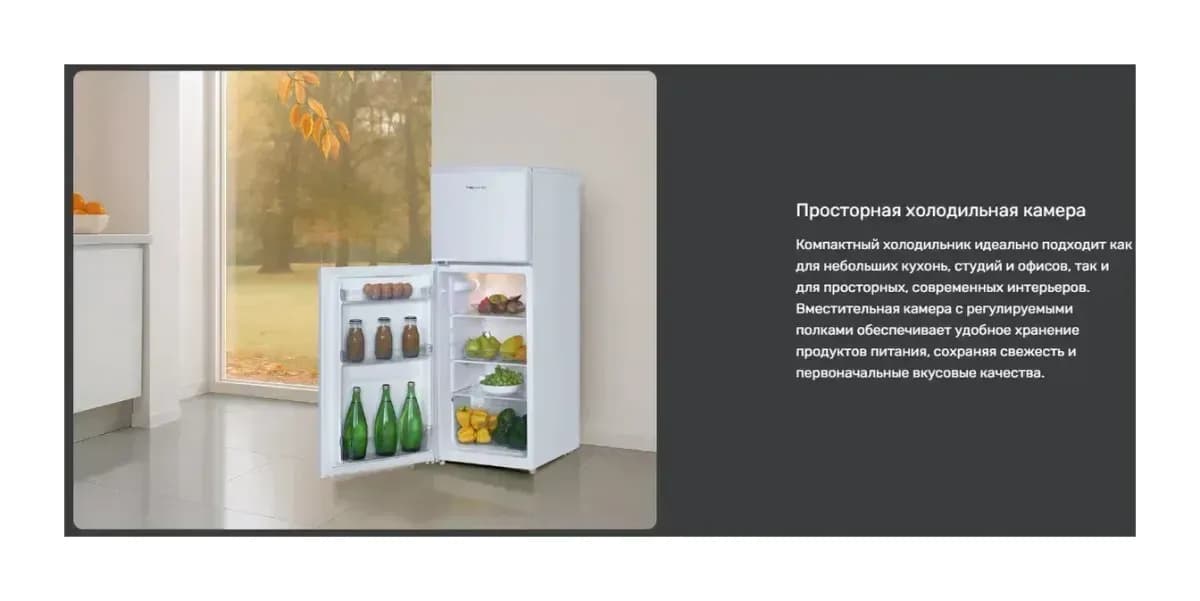 Холодильник с морозильником TECHNO DF2-20