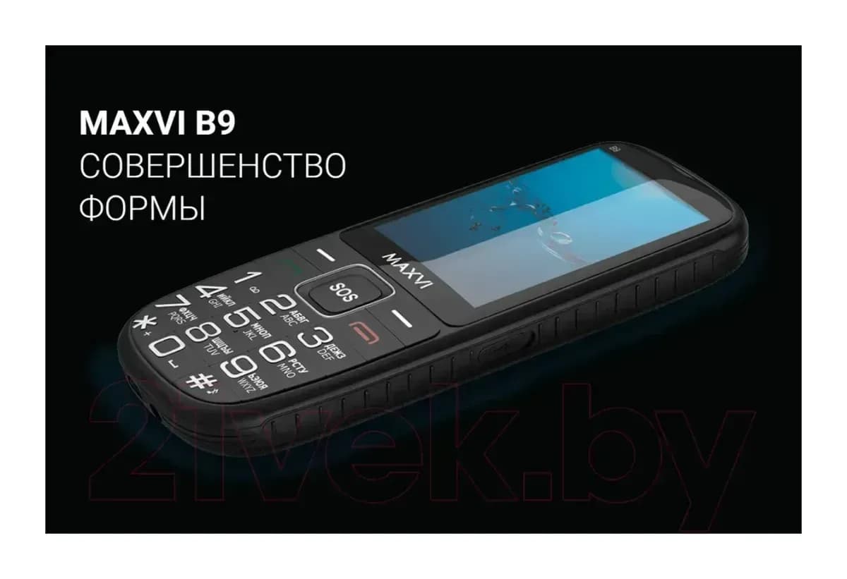Мобильный телефон Maxvi B9 (черный)