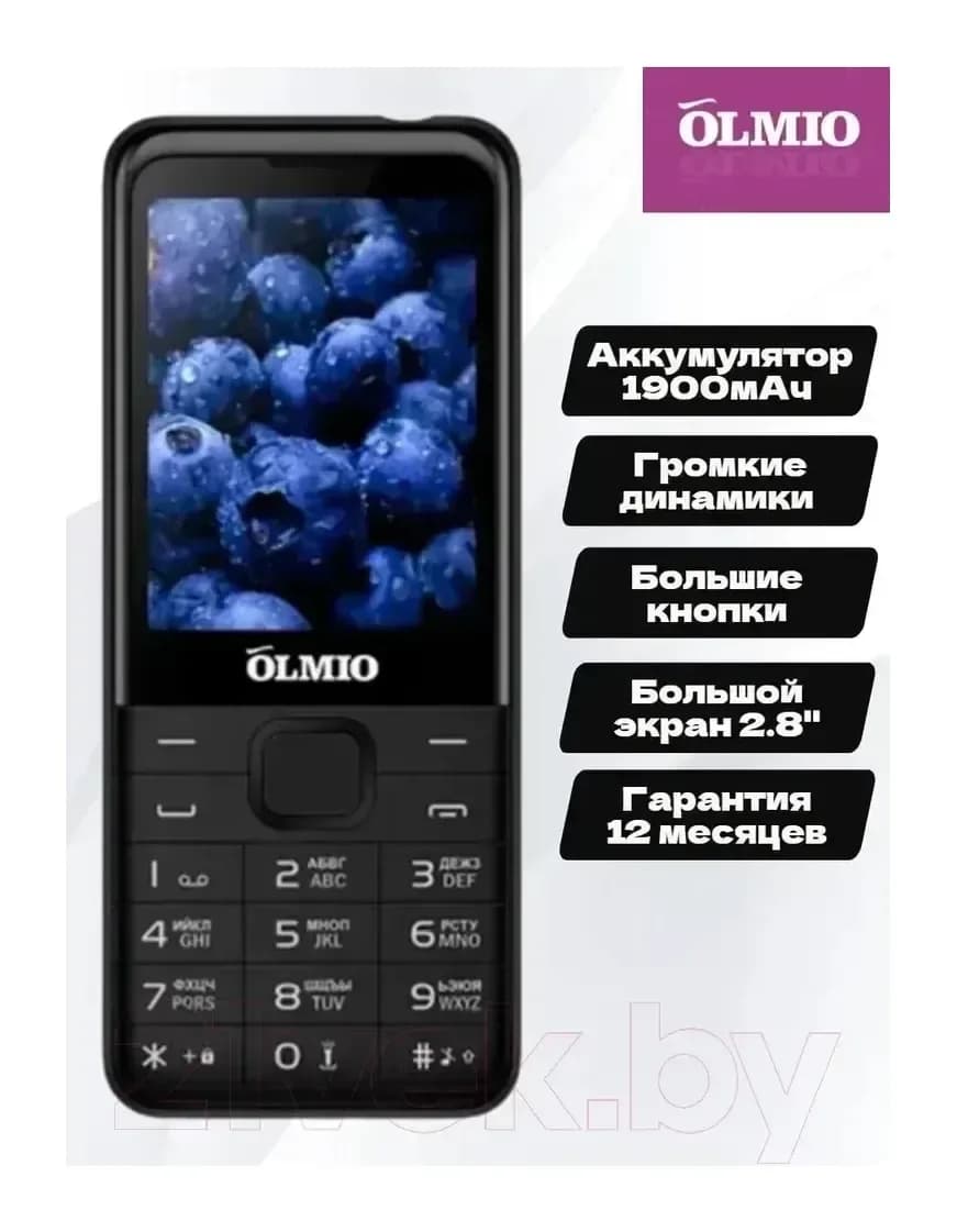 Мобильный телефон Olmio E29 / 043765 (черный)