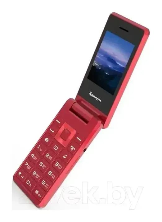 Мобильный телефон Xenium X600 / CTX600RD/00 (красный)