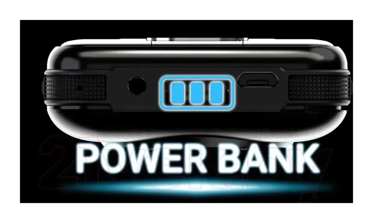 Мобильный телефон Maxvi P110 (черный)