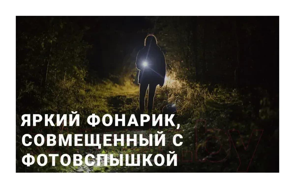 Мобильный телефон Maxvi B35 (синий+ЗУ)