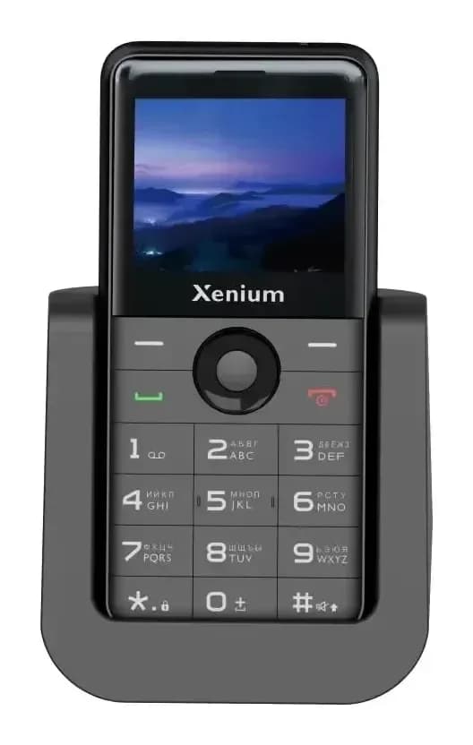 Мобильный телефон Xenium X700 / CTX700BK/00 (черный)