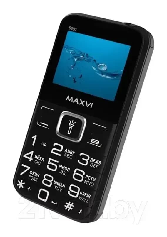 Мобильный телефон Maxvi B200 (черный+ЗУ)