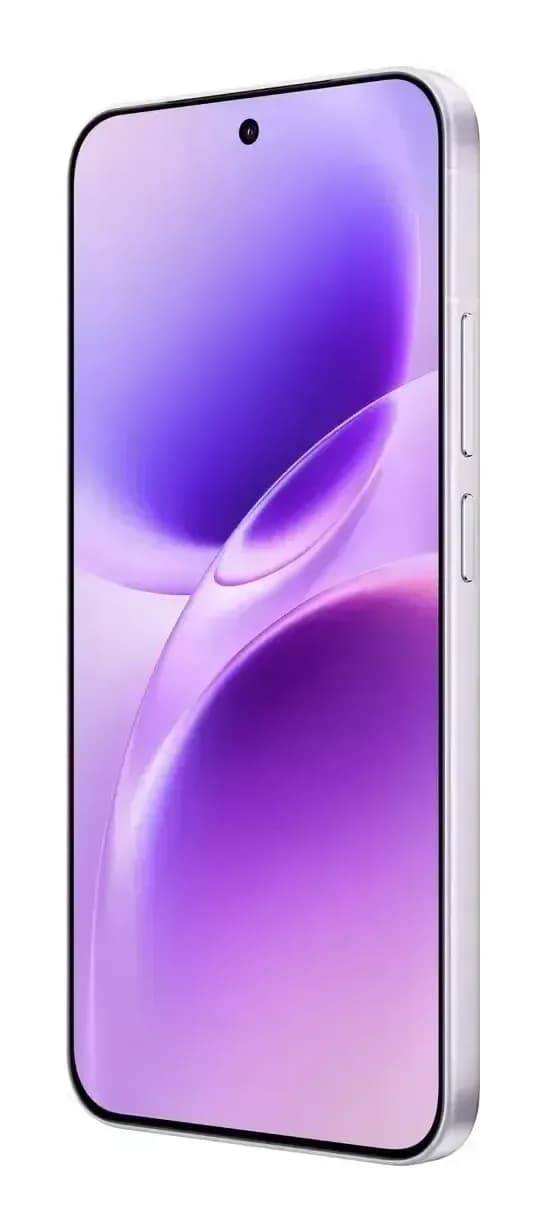 Смартфон Vivo X300FE 5G 12GB/512GB (холодный лиловый)