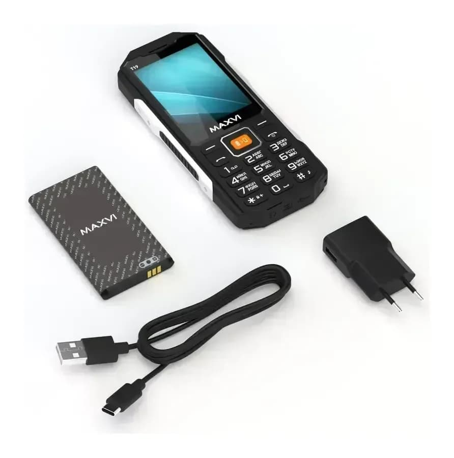 Мобильный телефон Maxvi T19 (черный)