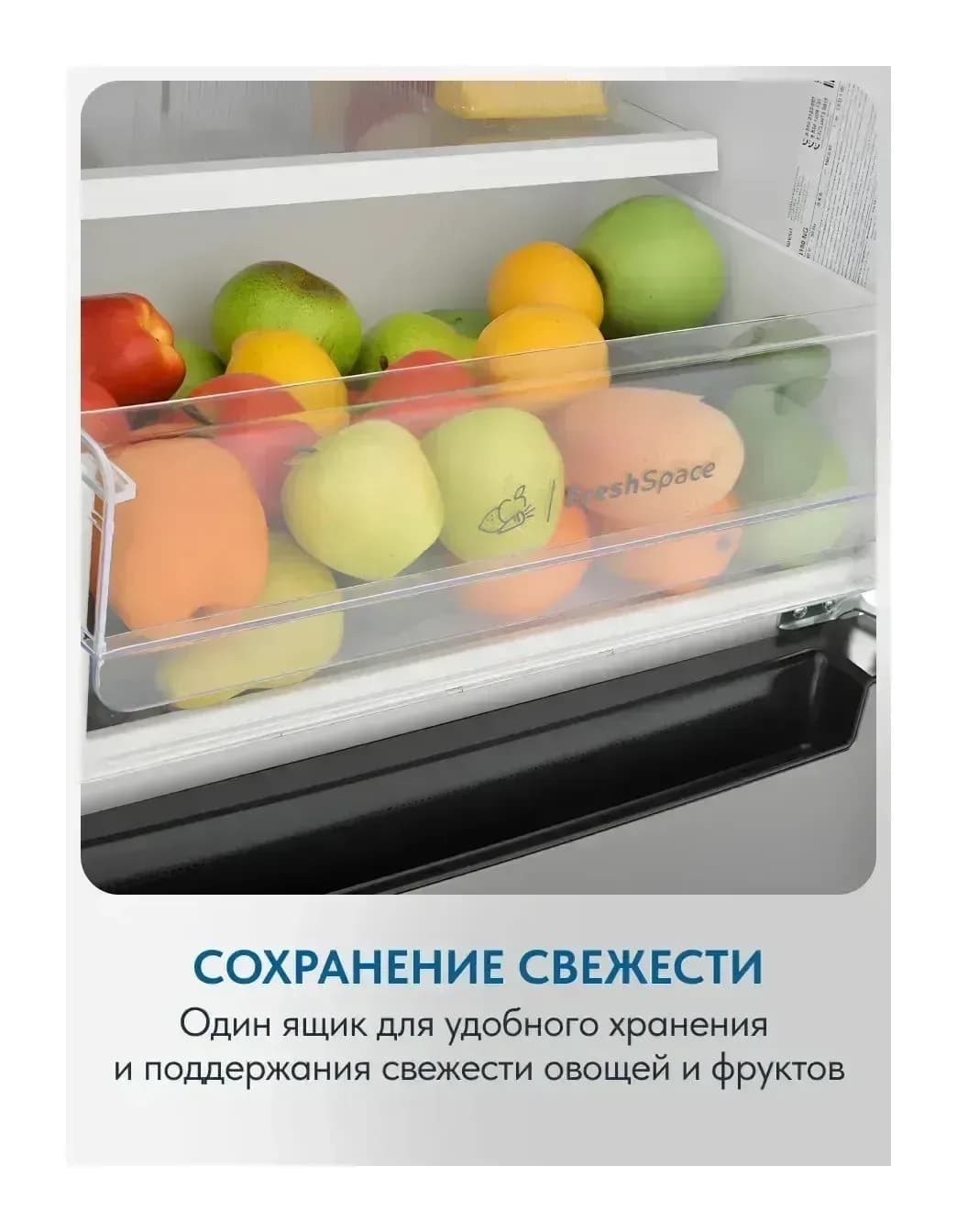 Холодильник с морозильником Indesit ITS 5200 NG