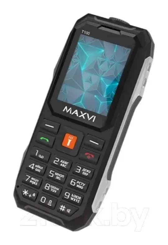 Мобильный телефон Maxvi T100 (черный)