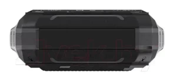 Мобильный телефон Maxvi T100 (черный)