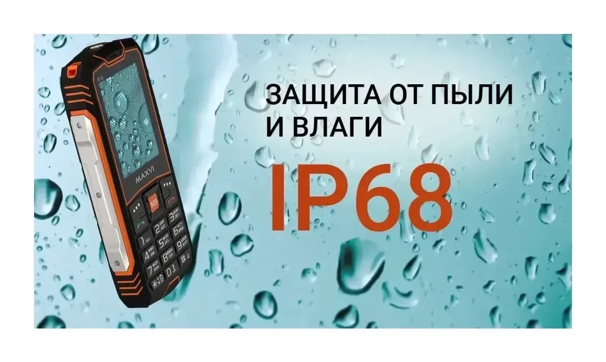 Мобильный телефон Maxvi R10 (оранжевый)