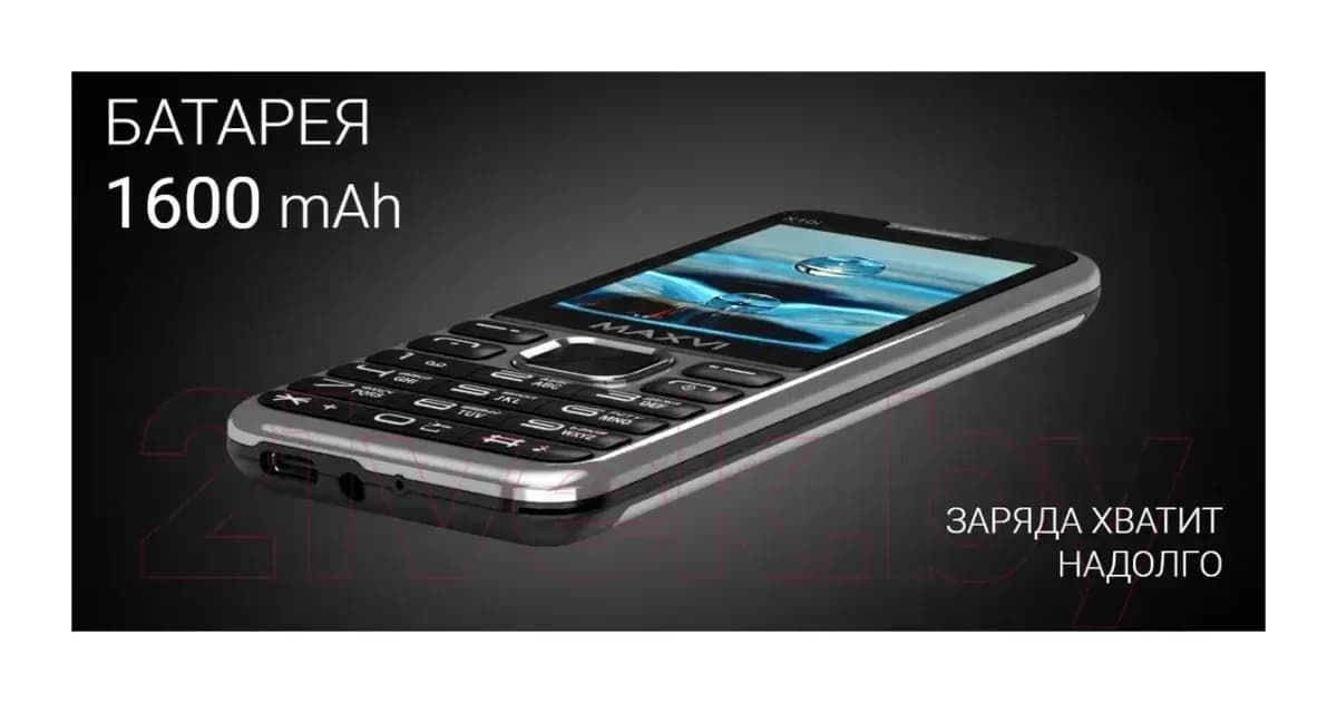 Мобильный телефон Maxvi X10i (металлик/серебристый)