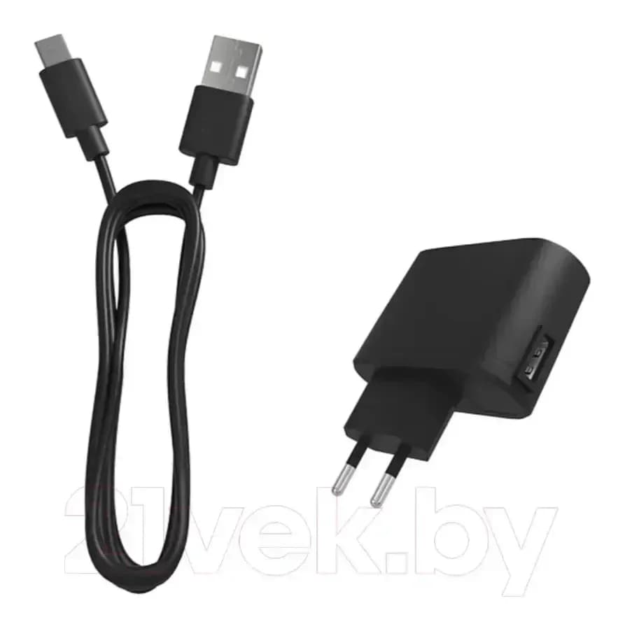Мобильный телефон Maxvi T100 (черный)