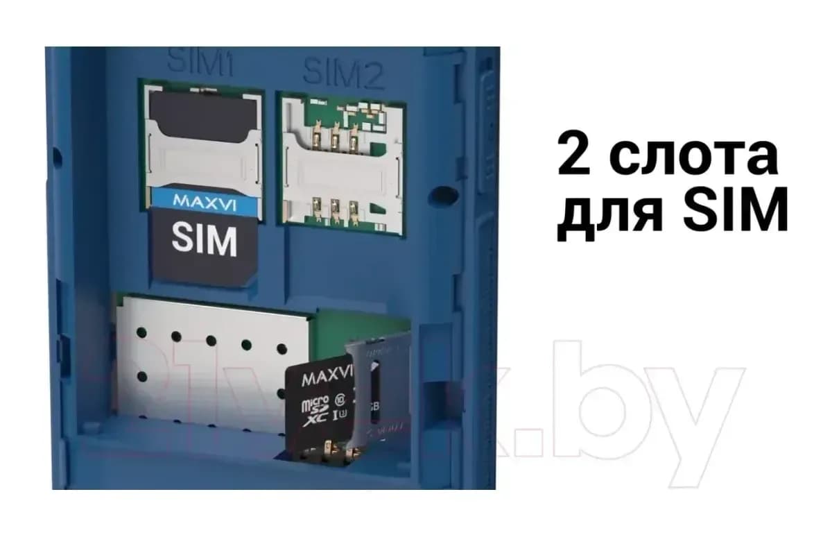 Мобильный телефон Maxvi P110 (черный)