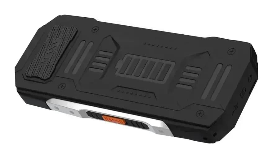Мобильный телефон Maxvi T19 (черный)